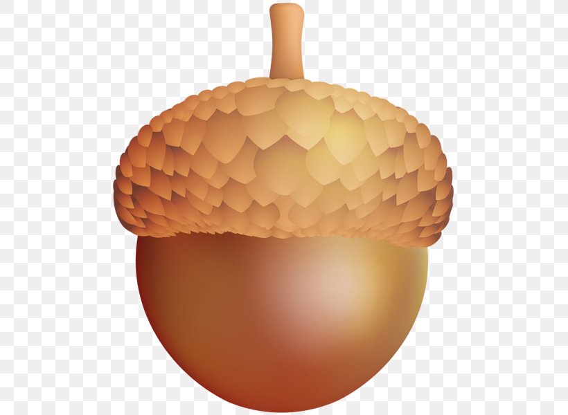 Acorn Clip Art, PNG, 502x600px, Oak, Acorn, Autumn, Blog, Fagaceae Download Free