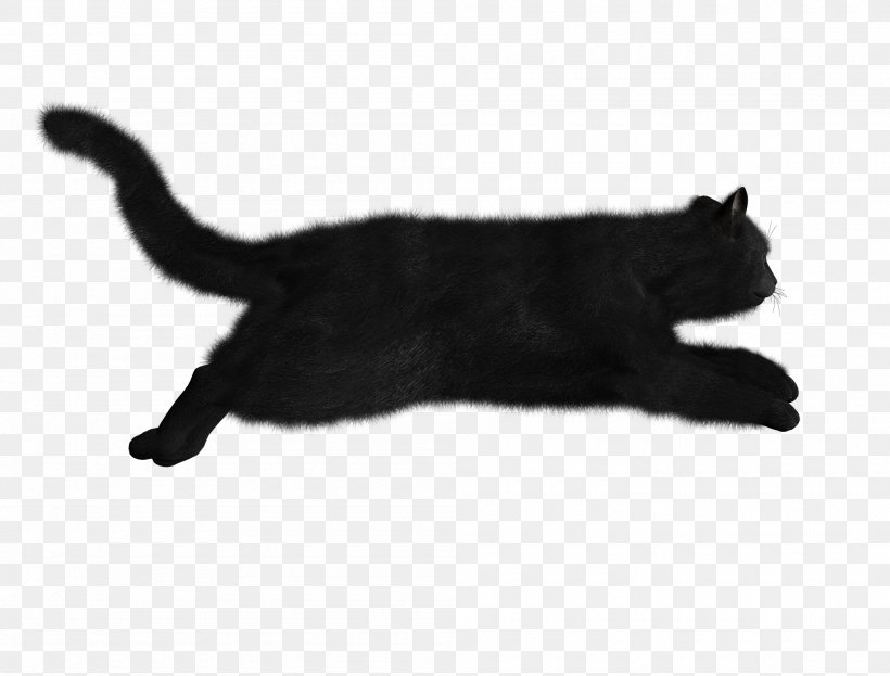 Black Cat Kitten Clip Art, PNG, 2000x1520px, Cat, Black, Black And White, Black Cat, Bombay Download Free