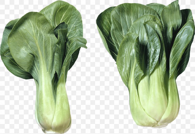 Chinese Cabbage Vegetable Vietnamese Cuisine, PNG, 2152x1475px, Cabbage, Bok Choy, Brassica, Brassica Juncea, Brassica Oleracea Download Free