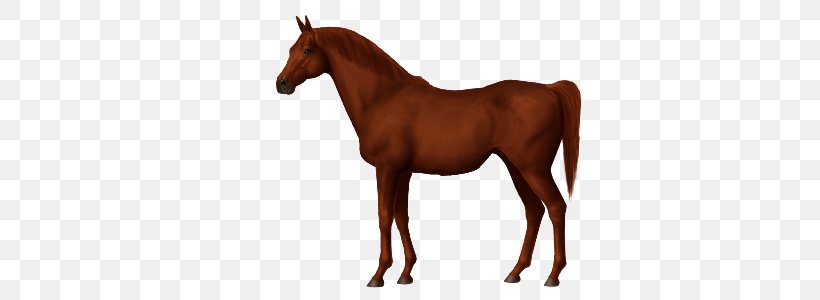 Criollo Horse Arabian Horse Nez Perce Horse Akhal-Teke Barb Horse, PNG, 450x300px, Criollo Horse, Akhalteke, American Paint Horse, Animal, Animal Figure Download Free