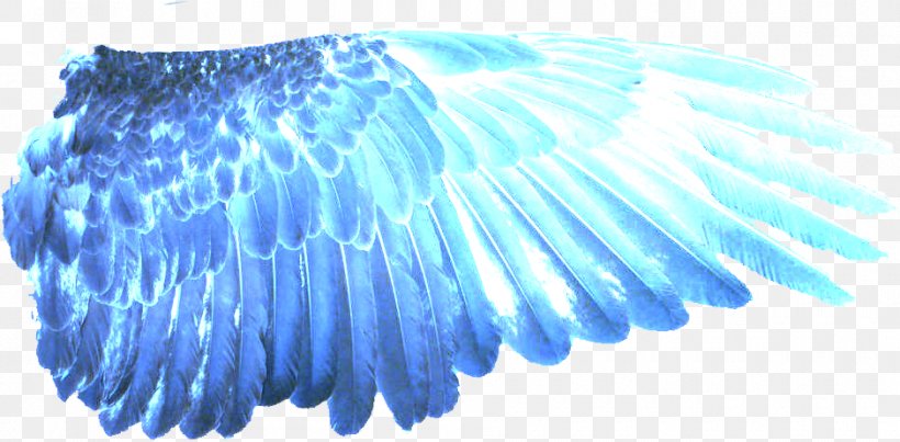 Clip Art Image Digital Art Desktop Wallpaper, PNG, 940x463px, Digital Art, Aqua, Blue, Buffalo Wing, Chicken Wings Download Free