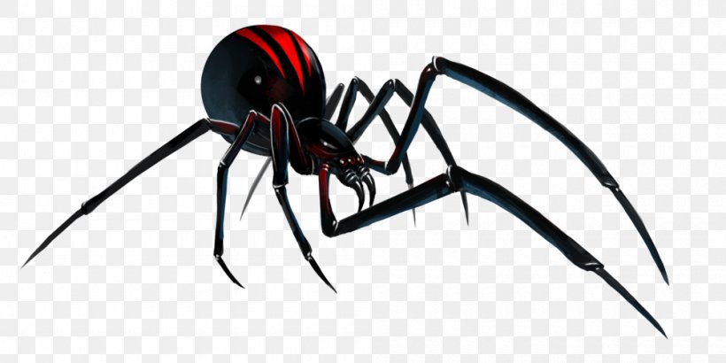 Spider Southern Black Widow Clip Art, PNG, 1000x501px, Spider, Arachnid, Arthropod, Black Widow, Insect Download Free