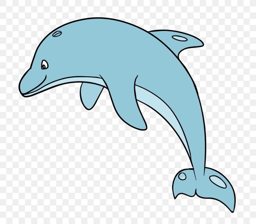 Bottlenose Dolphin Cartoon Clip Art, PNG, 750x720px, Dolphin, Animal