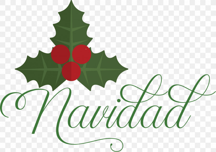 Navidad Christmas, PNG, 3000x2104px, Navidad, Aquifoliales, Biology, Christmas, Christmas Day Download Free