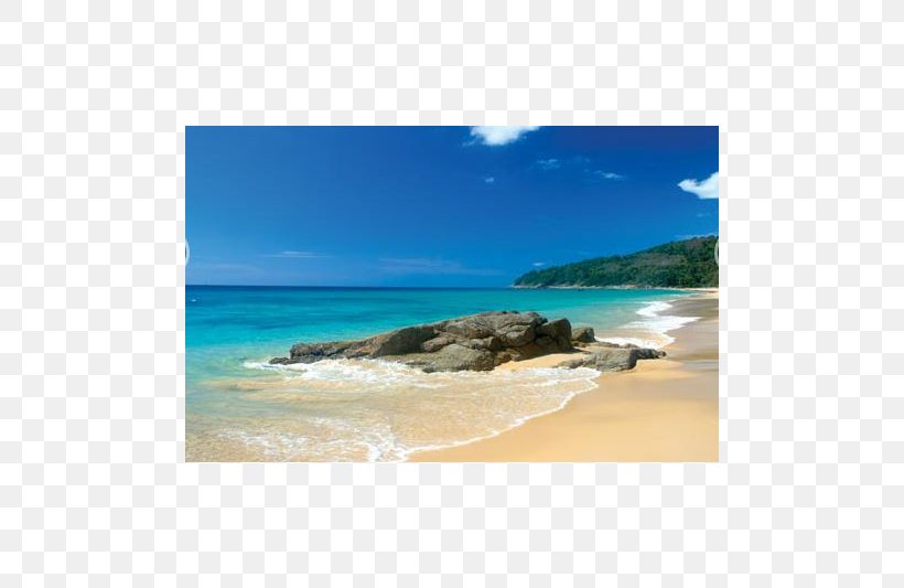 Shore Caribbean Sea Beach Coast, PNG, 800x533px, Shore, Bay, Beach, Caribbean, Coast Download Free