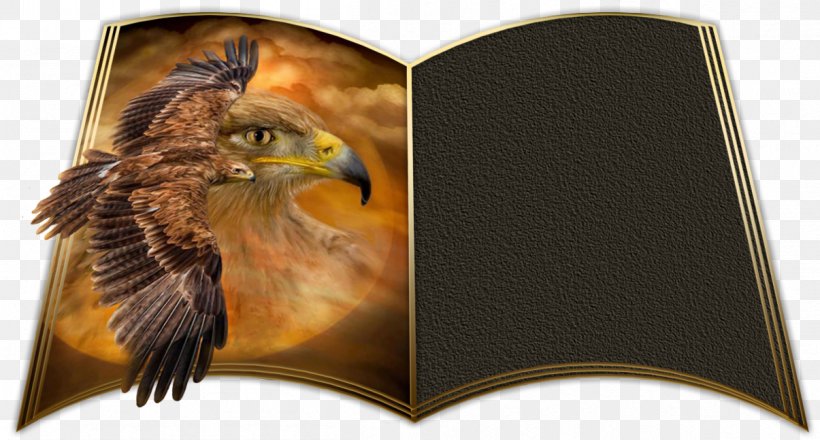 Bird Of Prey Beak Eagle Animal, PNG, 1205x647px, Bird, Animal, Beak, Bird Of Prey, Brand Download Free