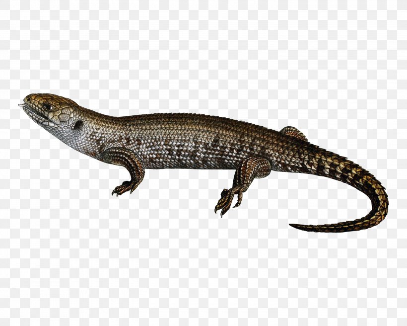 Lizard Common Iguanas Reptile, PNG, 3000x2400px, Lizard, Agamidae, Amphibian, Animal Figure, Common Iguanas Download Free
