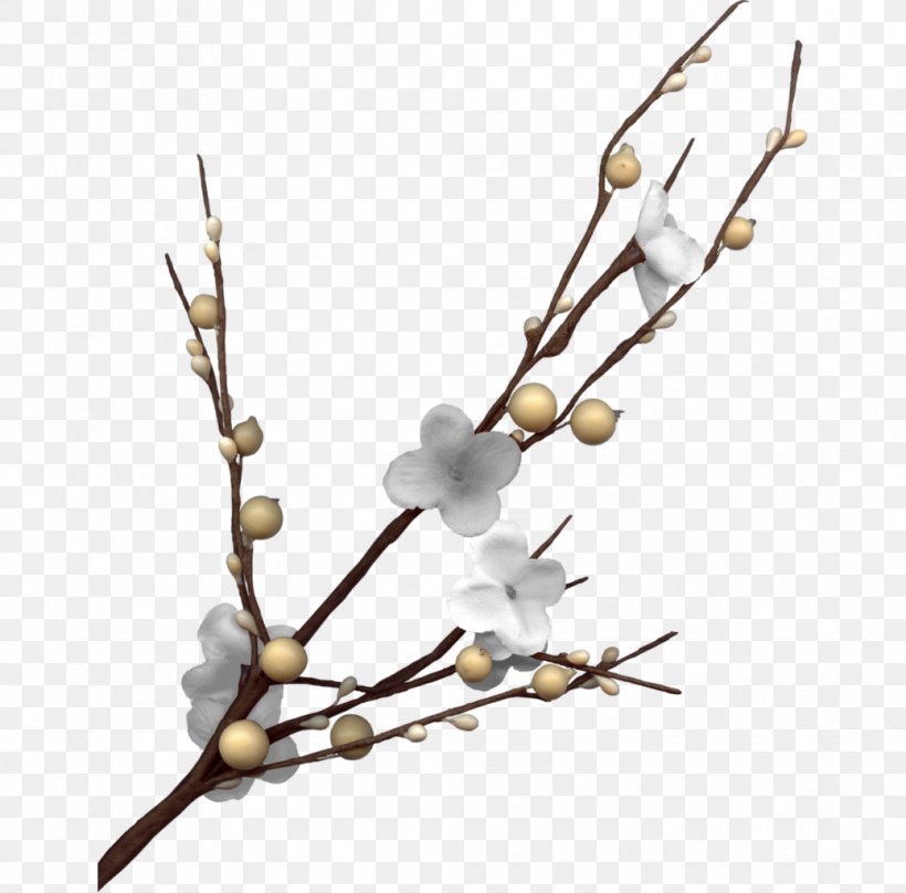 Plum Blossom Download, PNG, 1039x1024px, Plum Blossom, Branch, Button, Coreldraw, Plum Download Free