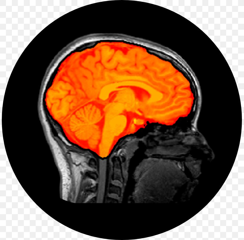 Brain Mapping Research Neuroscience Jupyter, PNG, 807x807px, Brain, Brain Mapping, Fork, Github, Health Download Free
