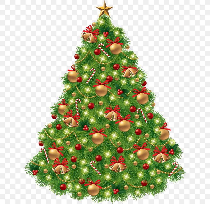 Christmas Tree Clip Art, PNG, 632x800px, Christmas Tree, Christmas, Christmas Decoration, Christmas Ornament, Conifer Download Free