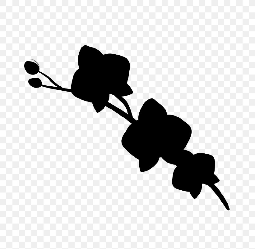 Clip Art Orchids Floristry Floristeria La Reyna Floral Design, PNG, 802x802px, Orchids, Birthday, Blackandwhite, Branch, Floral Design Download Free