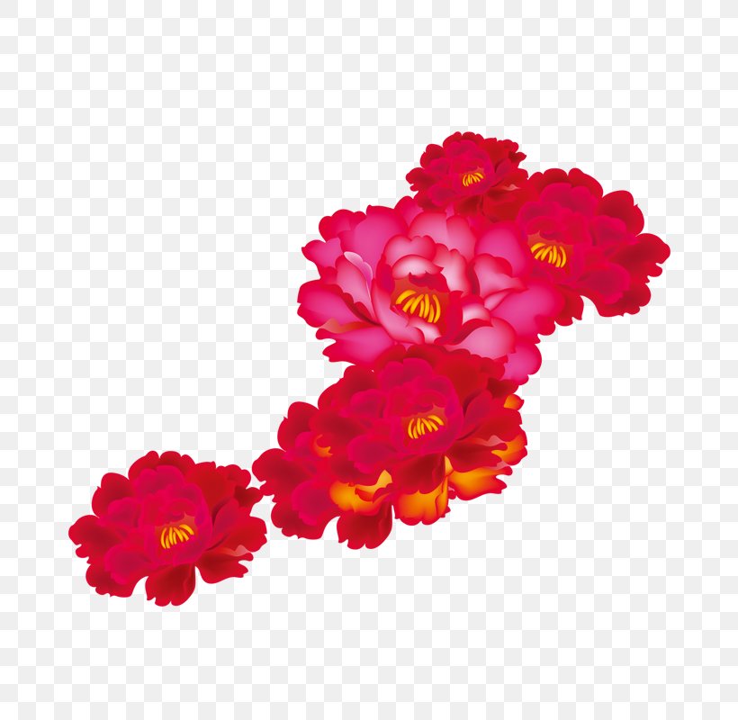 Garden Roses Moutan Peony Red, PNG, 800x800px, Garden Roses, Carnation, Cut Flowers, Floral Design, Floristry Download Free