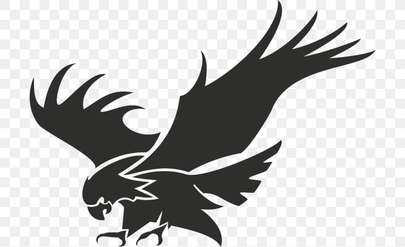 Logo Stencil, PNG, 700x501px, Logo, Art, Bald Eagle, Beak, Bird Download Free