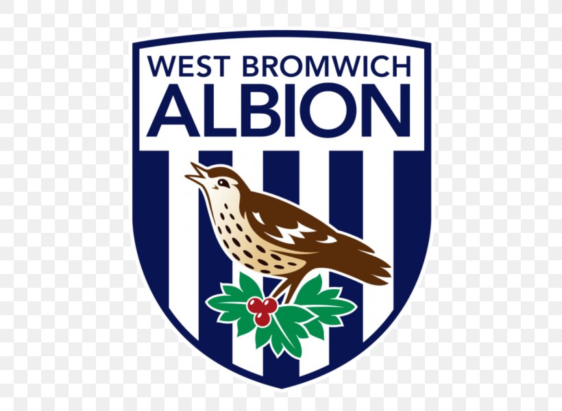 West Bromwich Albion F.C. England 2017–18 Premier League Bass Charity Vase Football, PNG, 600x600px, West Bromwich Albion Fc, Advertising, Beak, Ben Foster, Bird Download Free