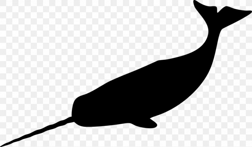 Narwhal Whale Drawing Clip Art, PNG, 960x564px, Narwhal, Art, Beak, Beluga Whale, Black And White Download Free