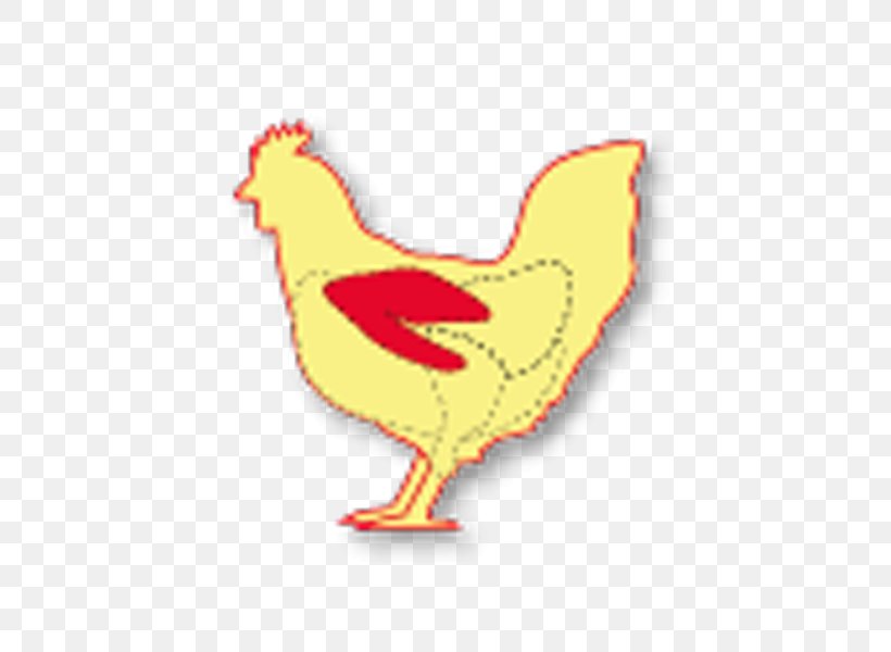 Rooster Chicken As Food Buffalo Wing Chicken As Food, PNG, 700x600px, Rooster, Beak, Bird, Buffalo Wing, Chicken Download Free