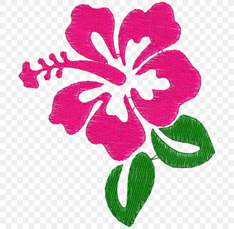 Shoeblackplant Drawing Flower Clip Art, PNG, 800x800px, Shoeblackplant, Cut Flowers, Drawing, Flora, Floral Design Download Free