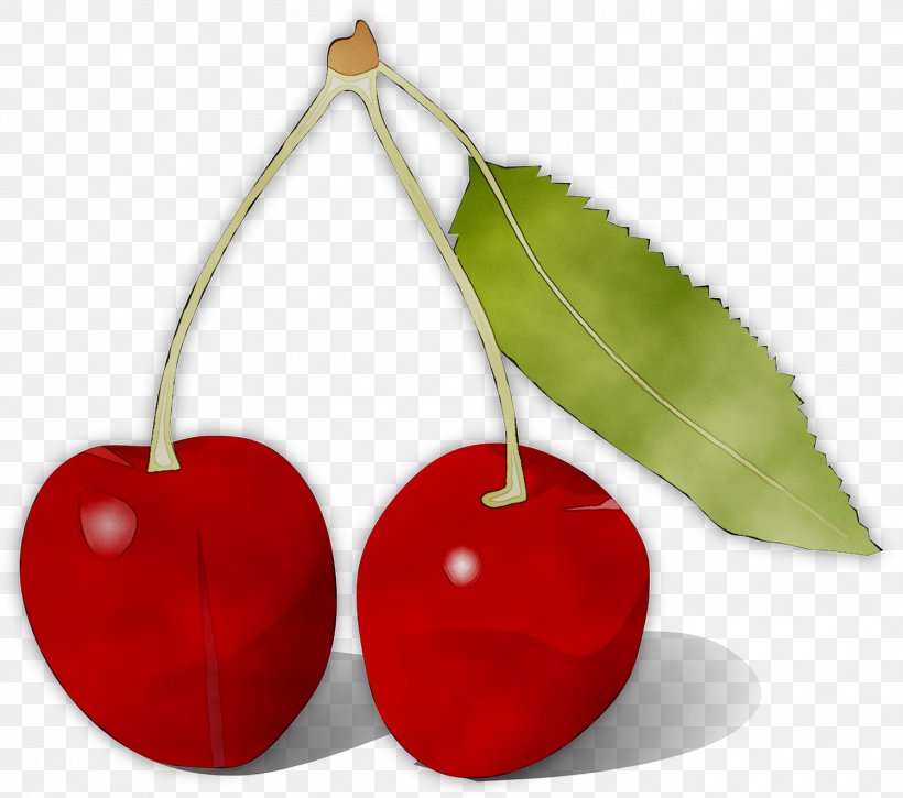 Clip Art Image Life Savers 5 Flavors Hard Candy Lifesavers Wild Cherry, PNG, 1497x1324px, Cherries, Cartoon, Cherry, Christmas Ornament, Drupe Download Free