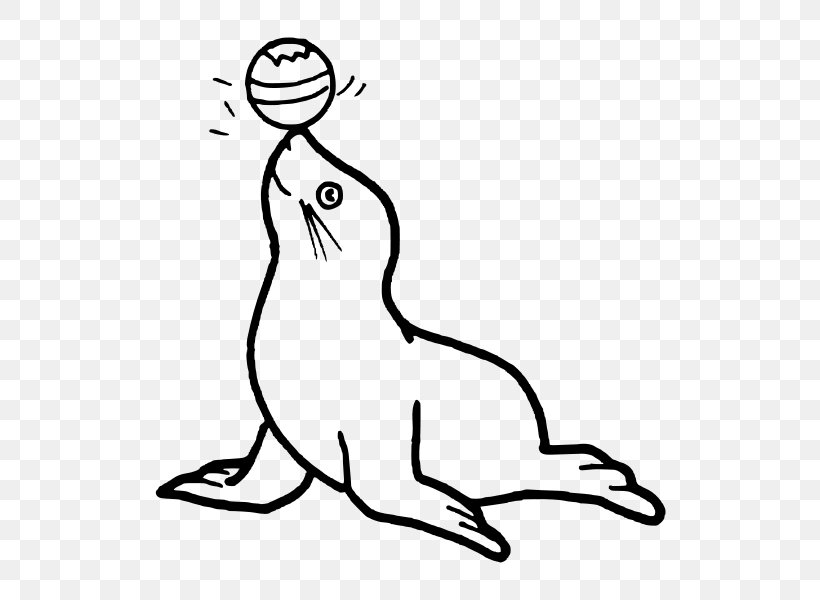 Coloring Book Free Pinniped Harp Seal Adult, PNG, 600x600px, Coloring Book, Adult, Art, Artwork, Beak Download Free