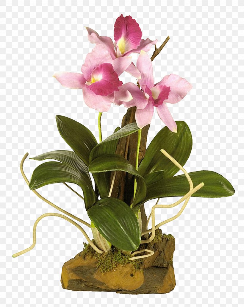 Flower Vase, PNG, 2629x3307px, Flower, Animation, Artificial Flower, Blog, Cattleya Download Free