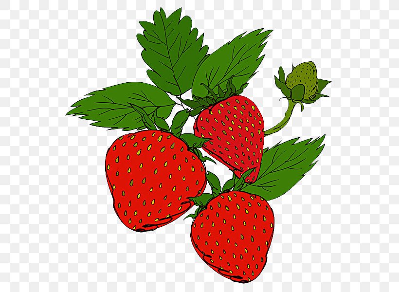 Ice Cream Strawberry Aedmaasikas Auglis, PNG, 600x600px, Ice Cream, Aedmaasikas, Auglis, Food, Fruit Download Free