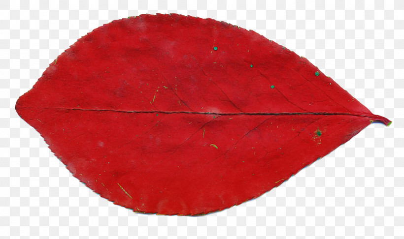 Red Leaf, PNG, 1024x607px, Red, Leaf Download Free
