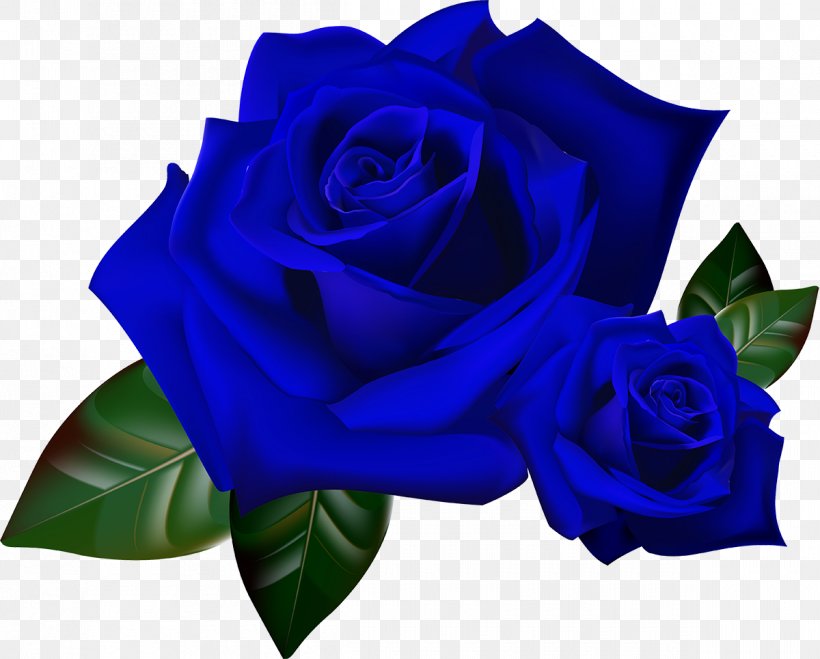 Red Rosa Gallica Flower, PNG, 1200x965px, Red, Adobe Fireworks, Blue, Blue Rose, Cobalt Blue Download Free