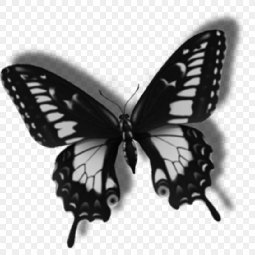 Centerblog Image Butterfly GIF, PNG, 1024x1024px, Blog, Arthropod, Black, Blackandwhite, Brushfooted Butterfly Download Free