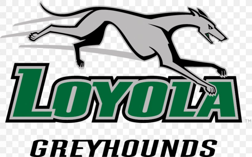 Loyola University Maryland Loyola Greyhounds Men's Basketball University Of Maryland, College Park Loyola Greyhounds Men's Lacrosse, PNG, 850x531px, Loyola University Maryland, Area, Artwork, Basketball, Black And White Download Free