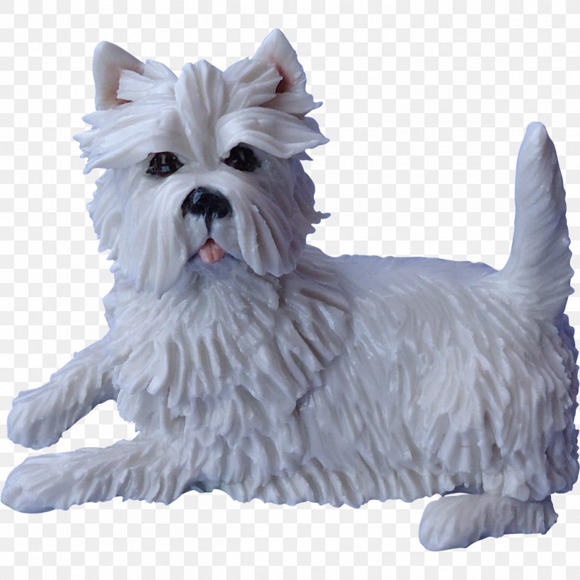 West Highland White Terrier Cairn Terrier Maltese Dog Companion Dog Dog Breed, PNG, 1349x1349px, West Highland White Terrier, Antique, Art, Breed, Breed Group Dog Download Free