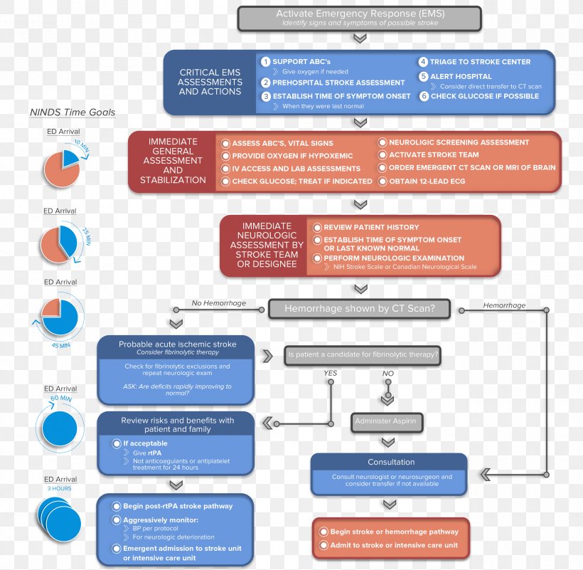 Advanced Cardiac Life Support National Institute Of Neurological Disorders And Stroke Algorithm Basic Life Support, PNG, 2550x2491px, Advanced Cardiac Life Support, Algorithm, American Heart Association, Basic Life Support, Brand Download Free