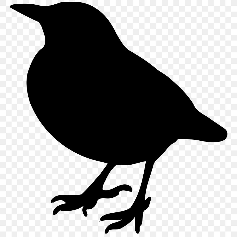 American Crow Bird Silhouette Clip Art, PNG, 768x819px, American Crow, Artwork, Beak, Bird, Black And White Download Free