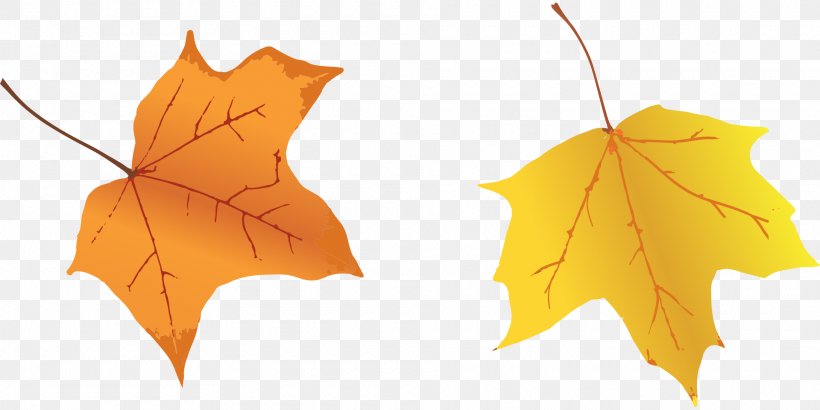 Autumn Leaf Clip Art, PNG, 1920x960px, Autumn, Autumn Leaf Color, Blade, Higan, Leaf Download Free
