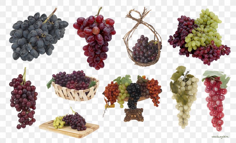 Grapevines Clip Art, PNG, 2968x1799px, Grape, Berry, Blackberry, Drawing, Flowering Plant Download Free