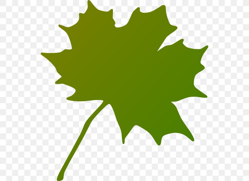 Maple Leaf Clip Art, PNG, 552x597px, Maple Leaf, Arecaceae, Branch, Canada, Flag Of Canada Download Free
