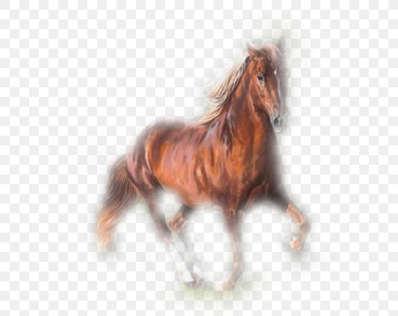 Mustang Stallion Butterfly Pony Mule, PNG, 569x652px, Mustang, Animaatio, Blingee, Bridle, Butterfly Download Free