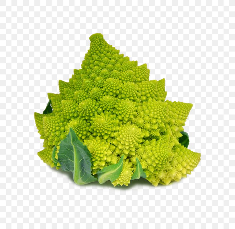 Romanesco Broccoli Cauliflower Red Cabbage Broccoflower, PNG, 800x800px, Romanesco Broccoli, Brassica Oleracea, Broccoflower, Broccoli, Cauliflower Download Free