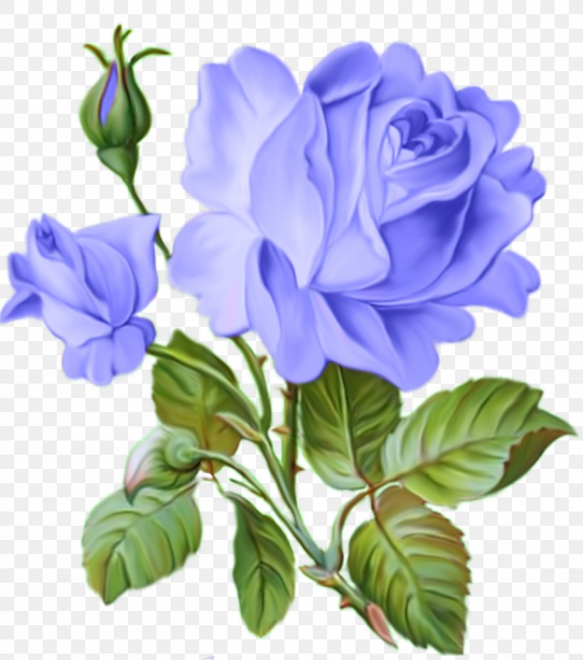 Animation Drawing Decoupage, PNG, 1359x1540px, Animation, Art, Bellflower Family, Blue, Blue Rose Download Free