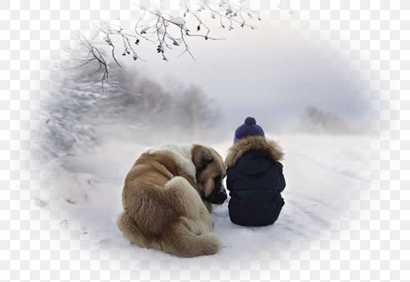 Morning Friendship Quotation Good Day, PNG, 777x564px, Morning, Arctic, Bear, Blizzard, Canidae Download Free