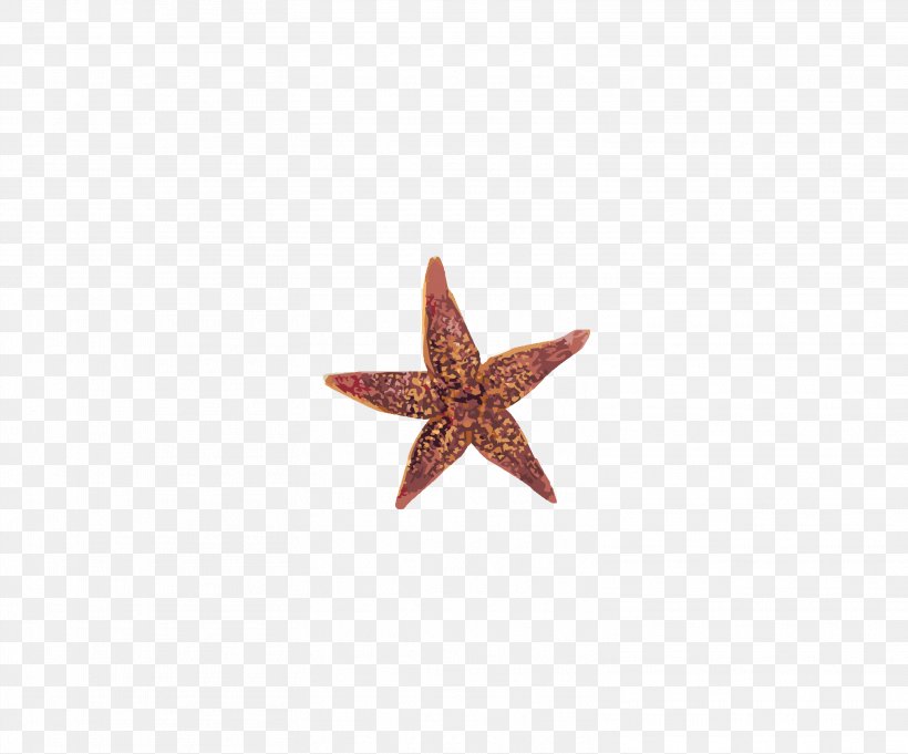 Starfish Pattern, PNG, 3128x2601px, Starfish, Red Download Free