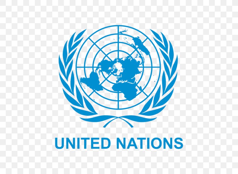United Nations Headquarters United Nations University United Nations International Strategy For Disaster Reduction UNICEF, PNG, 800x600px, United Nations Headquarters, Area, Brand, Diagram, Disaster Risk Reduction Download Free