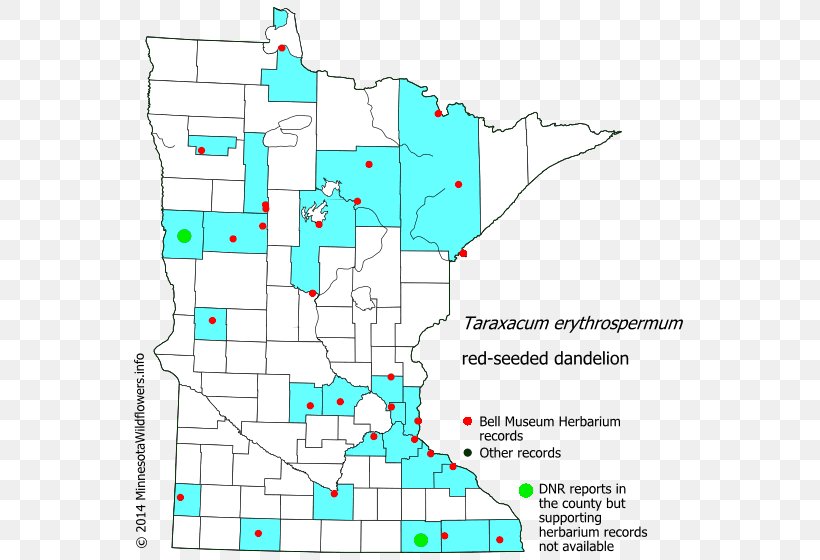 Minnesota Line Point Land Lot Diagram, PNG, 560x560px, Minnesota, Area, Diagram, Land Lot, Map Download Free