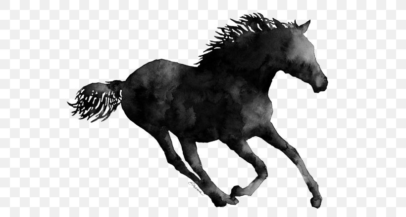 Mustang Mane Stallion Shetland Pony, PNG, 600x440px, Mustang, American Paint Horse, Arabian Horse, Black And White, Bridle Download Free