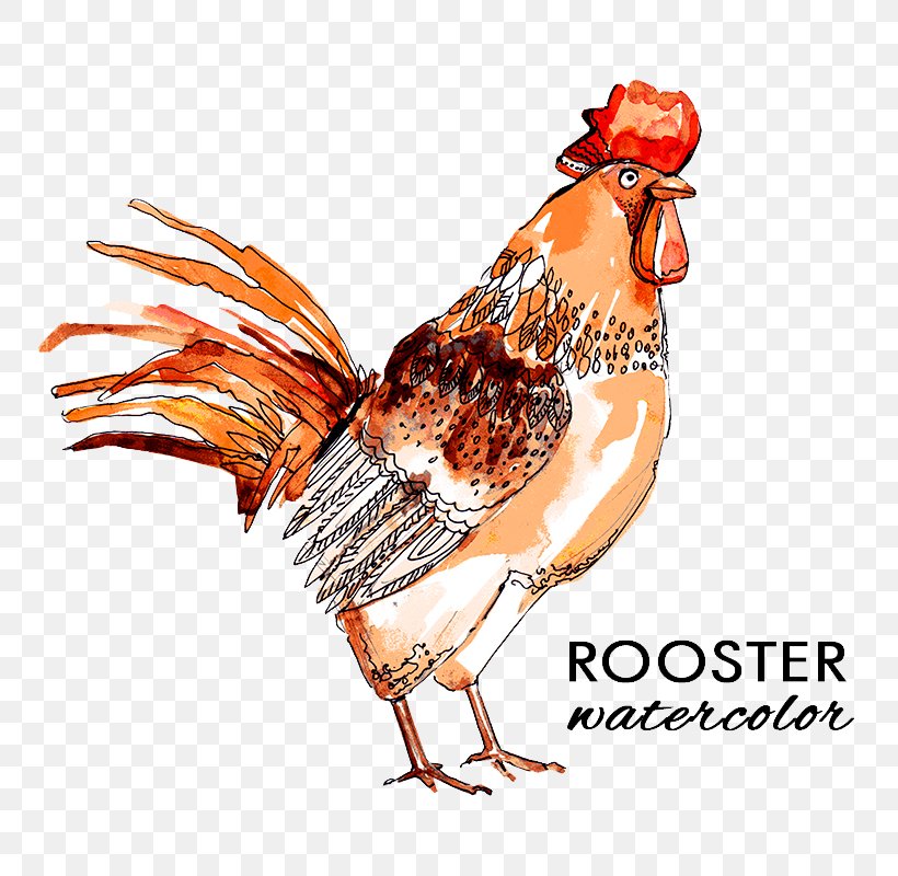 Rooster Chicken Flower Icon, PNG, 800x800px, Chicken, Beak, Bird, Computer Software, Feather Download Free