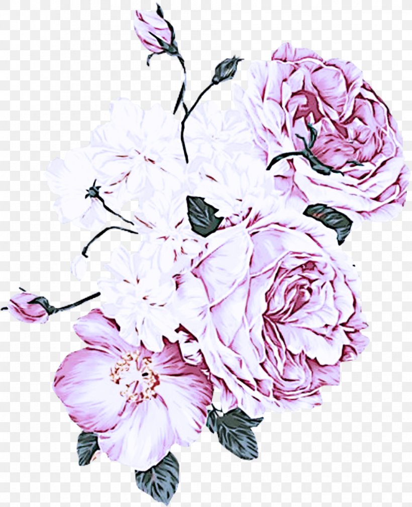 Rose, PNG, 954x1174px, Flower, Cut Flowers, Petal, Pink, Plant Download Free