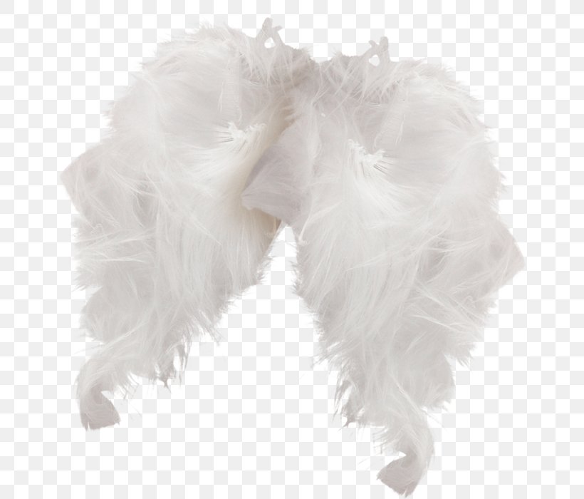Feather, PNG, 660x700px, Feather, Feather Boa, Fur, White Download Free