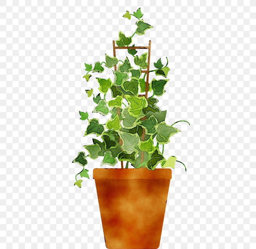 Flowerpot Houseplant Leaf Herb, PNG, 399x800px, Flowerpot, Annual Plant, Flower, Flowering Plant, Herb Download Free