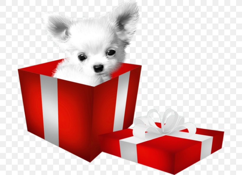 Pomeranian Puppy Dog Breed Clip Art, PNG, 700x595px, Pomeranian, Breed Group Dog, Carnivoran, Companion Dog, Computer Software Download Free