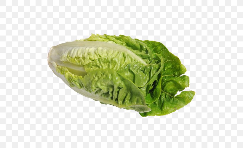 Romaine Lettuce Red Leaf Lettuce Vegetarian Cuisine Wrap Food, PNG, 500x500px, Romaine Lettuce, Cabbage, Chard, Collard Greens, Food Download Free