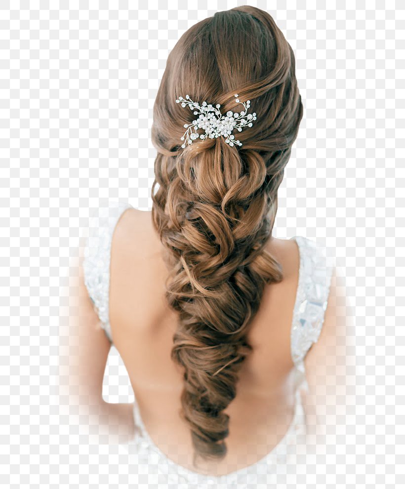 Wedding Dress Bride Hairstyle, PNG, 660x990px, Wedding Dress, Braid, Bridal  Accessory, Bride, Bridesmaid Download Free